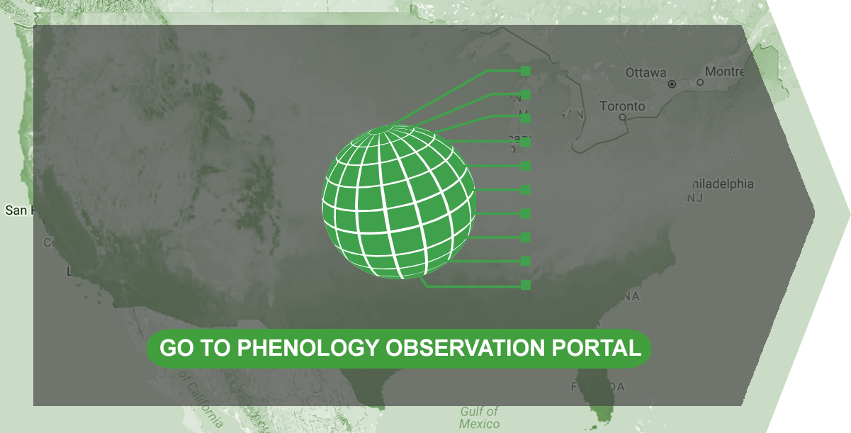 Click to Access Phenology Observation Portal