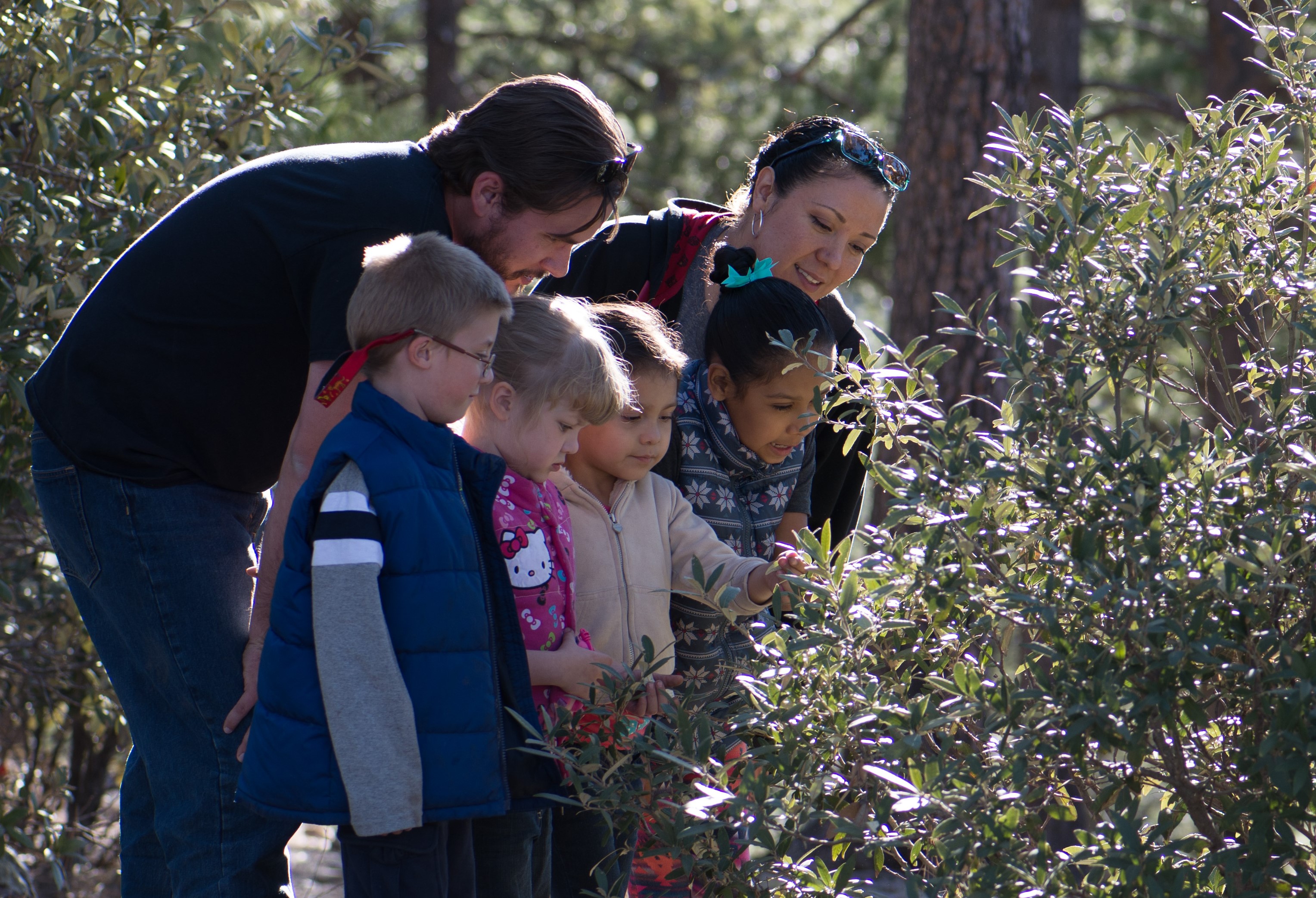 Children and Adults looking at plants 