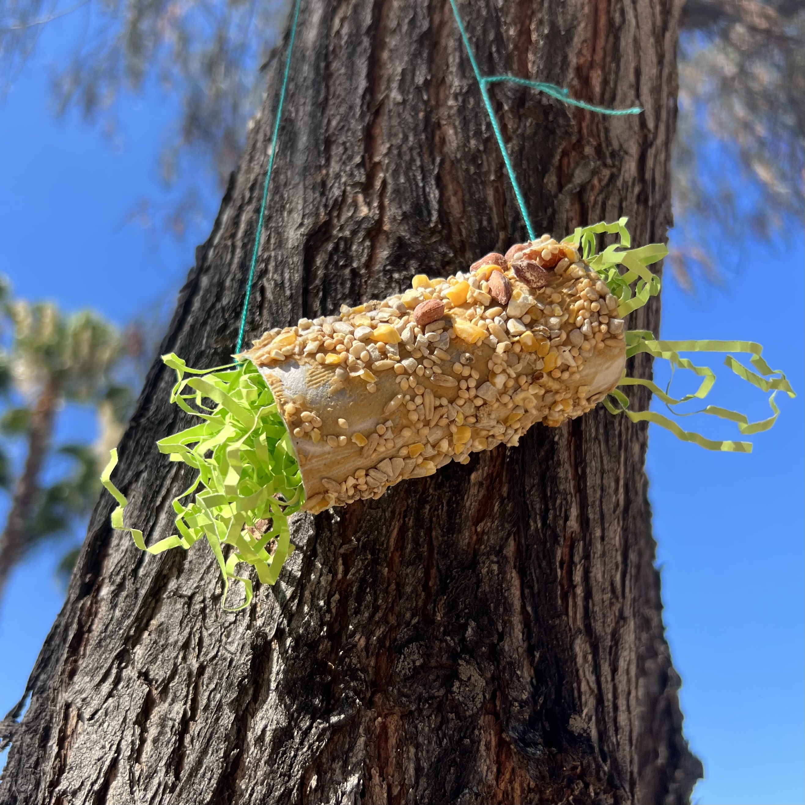 Bird feeder made out of a toilet paper tube