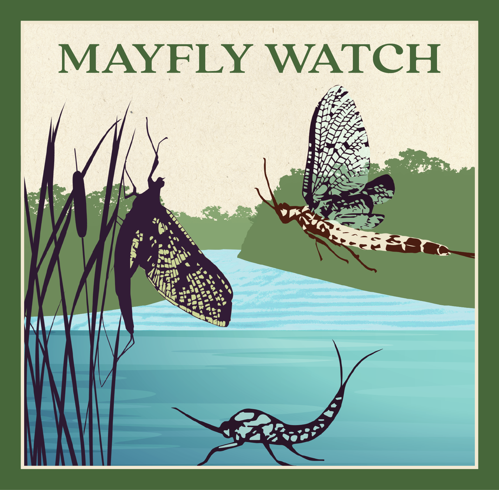 Mayfly Watch campaign logo
